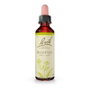 Bach Original Flores de Bach Mustard 20 ml