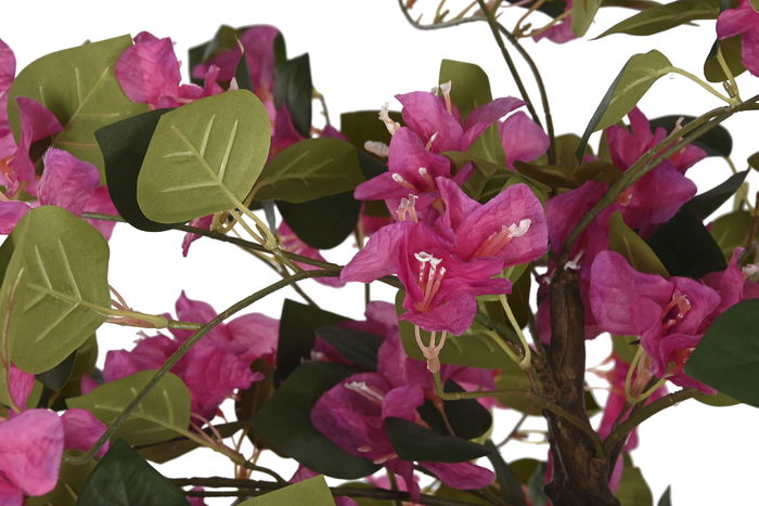 DKD Home Decor Planta Fucsia Natural Verde 80 x 150 x 80 cm Buganvilla
