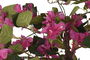 DKD Home Decor Planta Fucsia Natural Verde 80 x 150 x 80 cm Buganvilla