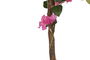 DKD Home Decor Planta Fucsia Natural Verde 80 x 150 x 80 cm Buganvilla