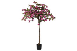 DKD Home Decor Planta Fucsia Natural Verde 80 x 150 x 80 cm Buganvilla