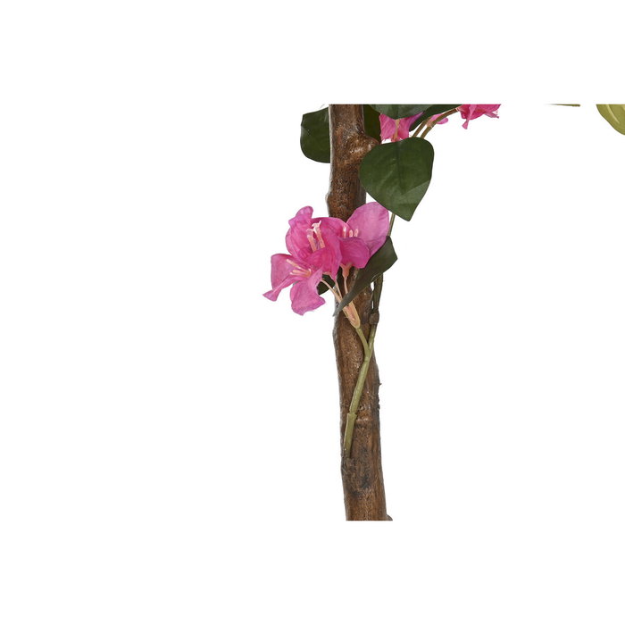 DKD Home Decor Planta de Buganvilla Fucsia 80x80x150 cm