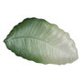 Ixia Bandeja Hoja Verde de Cristal Decoración 31 x 18 cm