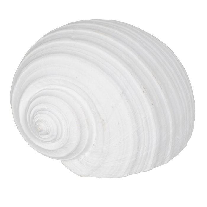 Ixia Figura Caracola Blanco Resina Decoración 15 X 11 X 9 cm Ixia Figura Caracola Blanco Resina Decoración 15 X 11 X 9 cm