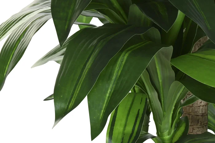 DKD Home Decor Planta Tropical Verde Marron 80 x 180 x 80 cm (2 Unidades)