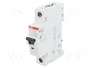 ABB Interruptor magnetotérmico SZ200 13A 1P Caract B