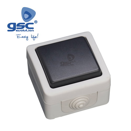 GSC Evolution Interruptor estanco 10A IP54 Gris
