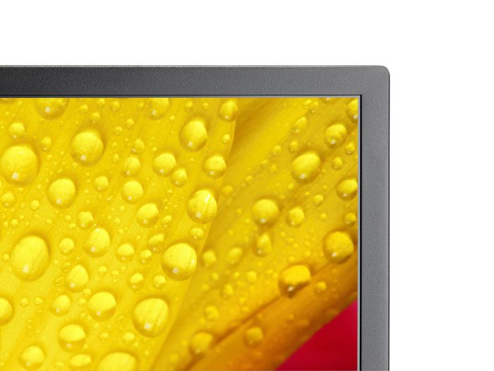 Sharp M651-2 65" M-Series UHD Display 500cd/m2 D-LED 24/7 SDM Slot CM-Slot