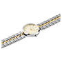 Pierre Cardin Reloj CF.0707.SU.G con Esfera Dorada