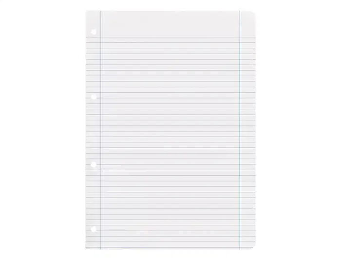 Liderpapel Recambio A4 100 Hojas 100gr Horizontal Con Doble Margen Y 4 Taladros