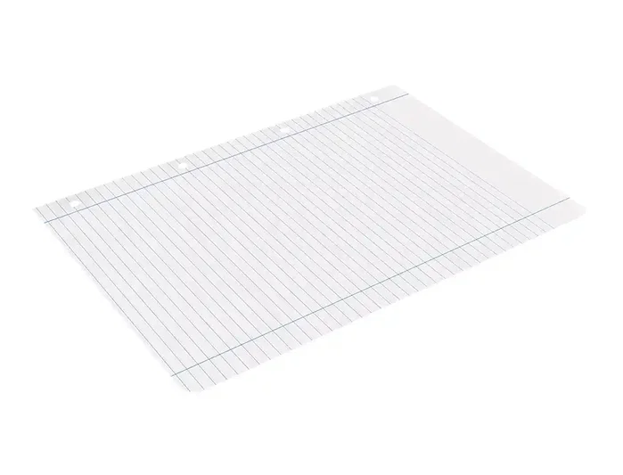 Liderpapel Recambio A4 100 Hojas 100g Horizontal con Doble Margen y 4 Taladros Liderpapel Recambio A4 100 Hojas 100g Horizontal con Doble Margen y 4 Taladros
