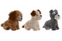 DKD Home Decor Peluche de Perro Surtido