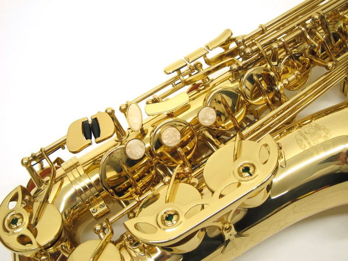 J.Michael Saxo Alto AL780 en Mi bemol Lacado