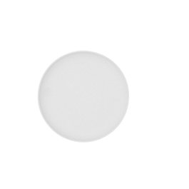 Bidasoa Plato Llano Porcelana Fosil Blanco 21,3x21,2x2,2 cm