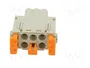 ILME MIXO Conector HDC Hembra de 5 Pines
