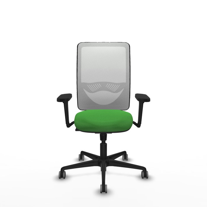 PIQUERAS Y CRESPO Silla de oficina Zulema con mecanismo Sincro, Tela Verde y Malla Blanca PIQUERAS Y CRESPO Silla de oficina Zulema con mecanismo Sincro, Tela Verde y Malla Blanca