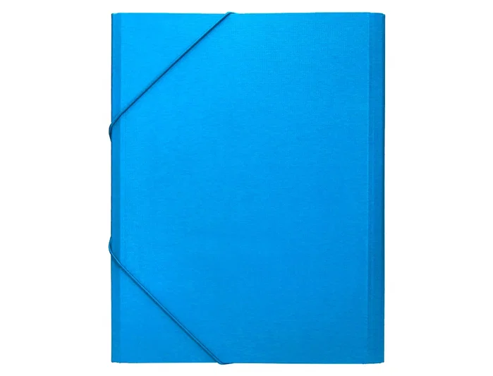 Liderpapel Carpeta clasificadora 12 departamentos folio prolongado celeste Liderpapel Carpeta clasificadora 12 departamentos folio prolongado celeste