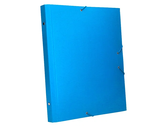 Liderpapel Carpeta clasificadora 12 departamentos folio prolongado celeste Liderpapel Carpeta clasificadora 12 departamentos folio prolongado celeste