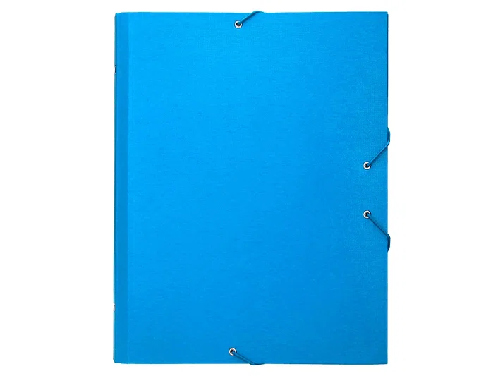 Liderpapel Carpeta clasificadora 12 departamentos folio prolongado celeste Liderpapel Carpeta clasificadora 12 departamentos folio prolongado celeste