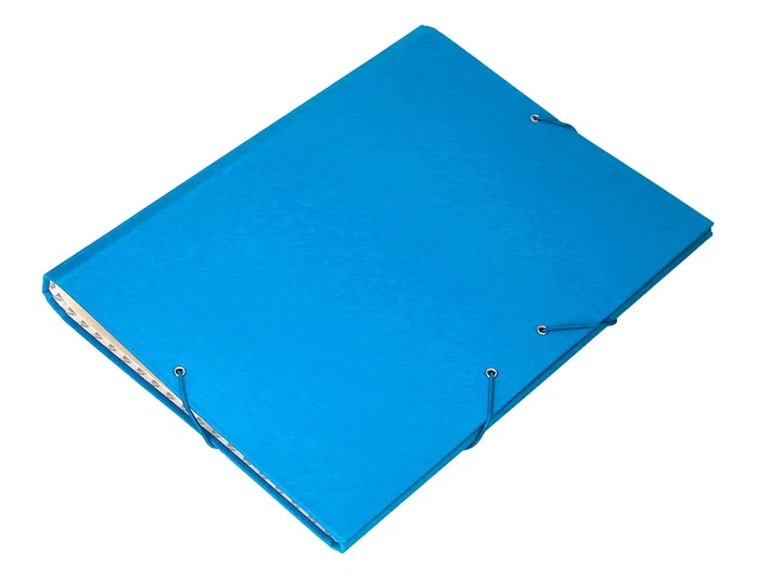 Liderpapel Carpeta clasificadora 12 departamentos folio prolongado celeste Liderpapel Carpeta clasificadora 12 departamentos folio prolongado celeste