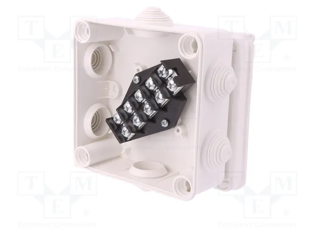 ELEKTRO-PLAST NASIELSK Caja de conexiones EP-LUX blanca con prensaestopas ELEKTRO-PLAST NASIELSK Caja de conexiones EP-LUX blanca con prensaestopas