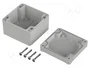 BOPLA EUROMAS II Gris IP65