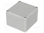 BOPLA EUROMAS II Gris IP65