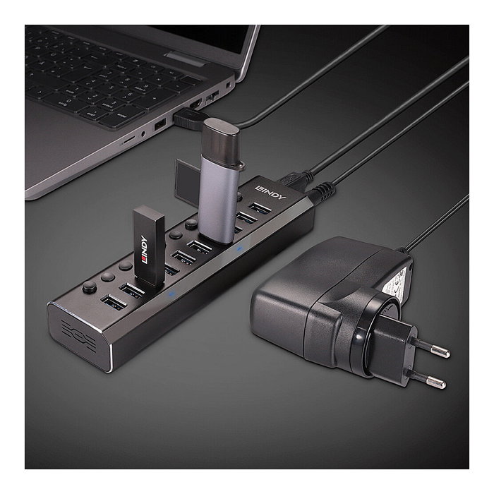 LINDY Hub USB 3.2 Gen 1 de 10 Puertos con Interruptores On/Off, Negro