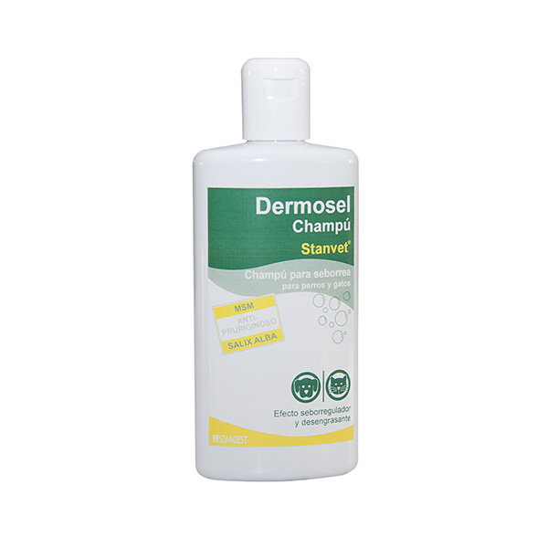Stangest Dermosel Champú 250ml Stangest Dermosel Champú 250ml