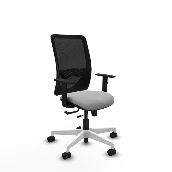 PIQUERAS Y CRESPO Silla de oficina Zulema con mecanismo Sincro/Traslack, Gris claro y Negro PIQUERAS Y CRESPO Silla de oficina Zulema con mecanismo Sincro/Traslack, Gris claro y Negro