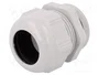 LAPP Sello aislante SKINTOP® ST PG36 gris claro