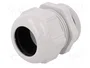 LAPP Sello aislante SKINTOP® ST PG36 gris claro