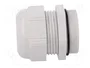 LAPP Sello aislante SKINTOP® ST PG36 gris claro