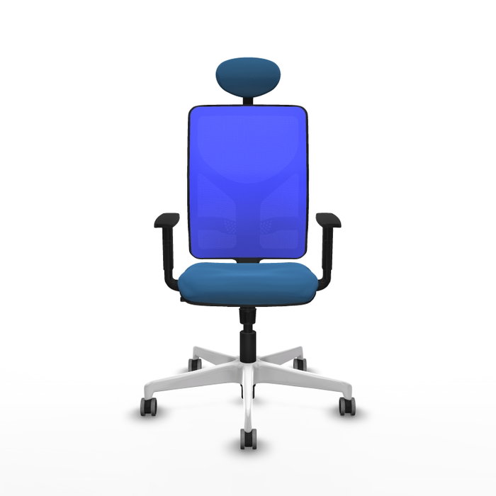 PIQUERAS Y CRESPO Silla de oficina Motilla con mecanismo Sincro, Azul PIQUERAS Y CRESPO Silla de oficina Motilla con mecanismo Sincro, Azul