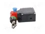 PIZZATO ELETTRICA FL Interruptor de seguridad de cuerda unilateral gris