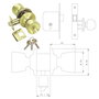 TESA Pomo Serie 3520-lm/50 Latón Mate