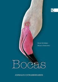Bocas. Animales extraordinarios, Xulio Gutiérrez; Nicolás Fernández - FAKTORIA K DE LIBROS