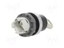 ABB Interruptor rotativo con llave 22mm 2 posiciones negro