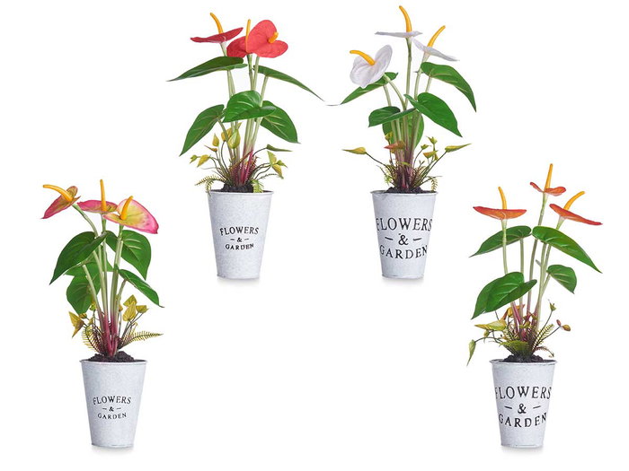 Ibergarden Planta Lirio Bote Metal Surtidos 15 cm x 12 cm x 34 cm (Set de 12)