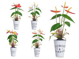 Ibergarden Planta Lirio Bote Metal Surtidos 15 cm x 12 cm x 34 cm (Set de 12)