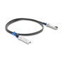 DeLOCK Cable Twinax SFP28 macho a SFP28 macho 25 Gbps 2 m
