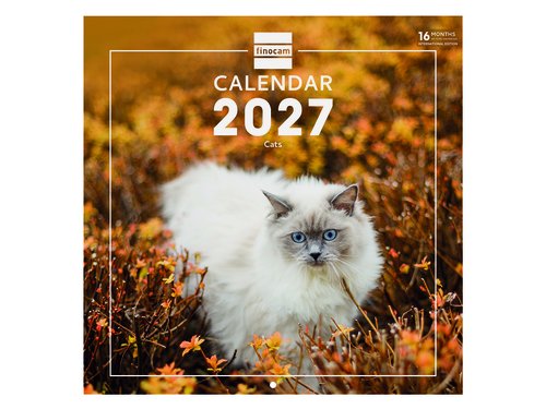 FINOCAM Calendario de Pared 2027 Imágenes de Gatos Multilingüe FINOCAM Calendario de Pared 2027 Imágenes de Gatos Multilingüe