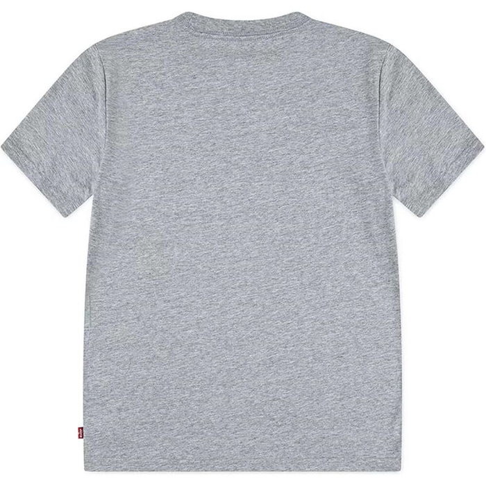 Camiseta de Manga Corta Infantil Levi's Lvb On The Road Batwing Gris claro L