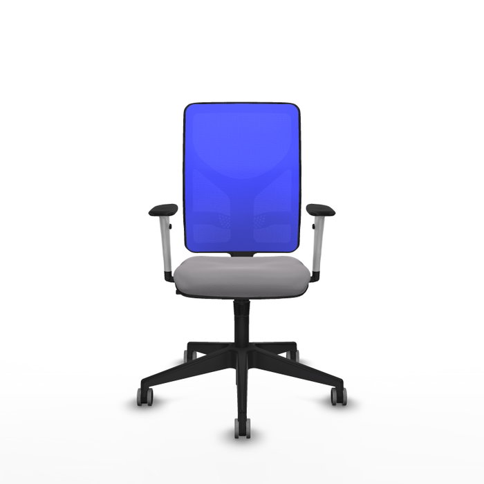 PIQUERAS Y CRESPO Silla de oficina Motilla con mecanismo Sincro, Azul y Gris PIQUERAS Y CRESPO Silla de oficina Motilla con mecanismo Sincro, Azul y Gris