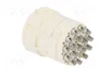 HARTING Conector M23 hembra de 17 pines para soldar, industrial