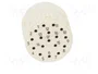 HARTING Conector M23 hembra de 17 pines para soldar, industrial