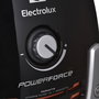 Aspirador Electrolux EPF63EB-S Negro 700 W