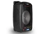NGS Wild Samba Altavoz Portátil Bluetooth 30W con Micrófono y Luces LED