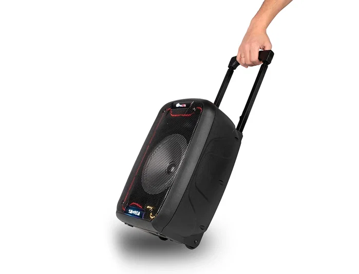 NGS Wild Samba Altavoz Portátil Bluetooth 30W con Micrófono y Luces LED