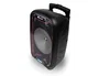 NGS Wild Samba Altavoz Portátil Bluetooth 30W con Micrófono y Luces LED